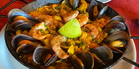 Caballito de Mar