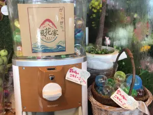 Fukaya