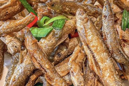 南靖土楼文化馆·1949度假村落(田螺坑景区店)·餐厅