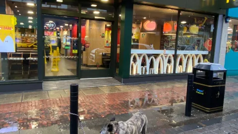 McDonald's in 利