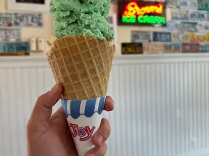 Nelson's Drive Inn Dairy Store
