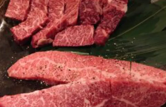 肉匠 おか元