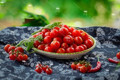 亓卉布依酸笋牛肉土菜园