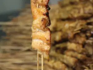 Sate martawi