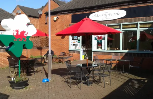 The Monkey Puzzle Tearoom