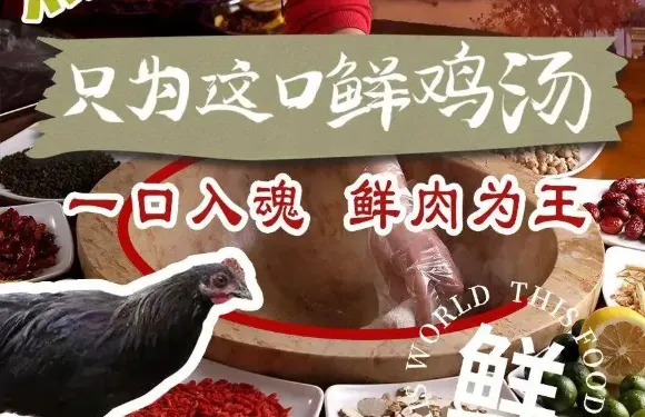 蒸汽石鍋松茸藏香雞·草帽魚