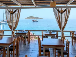 Paradisos All Day Restaurant Bar