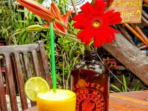Mateos Mexican Grill