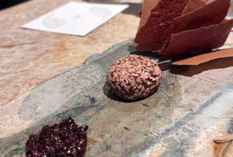 Cacao Chuncho