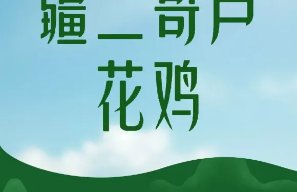 疆二哥蘆花雞