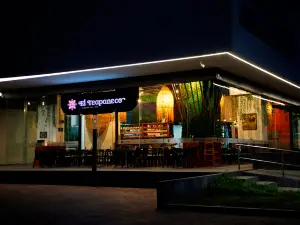 El Teapaneco