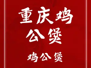 YUAN JI CHONG QING JI GONG BAO