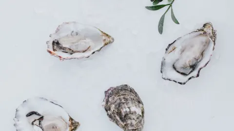 Restaurant Lemongrass | Scheveningen in 헤이그