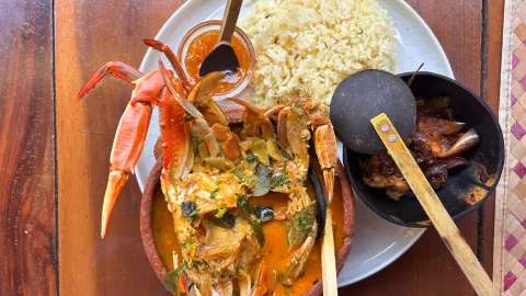 Ceylon Curry House in มาทาร่า