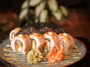 Satori Sushi Santa Teresa