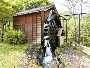 Haoki No Sato Biryu-kan