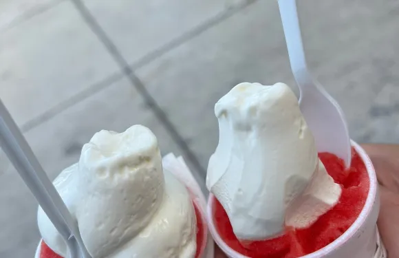 Annie's Italian Ices