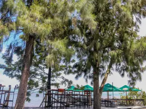 Saga Bay Restaurant