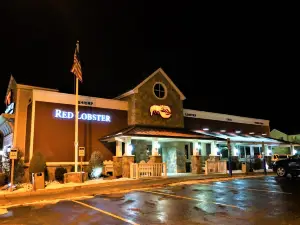 Red Lobster