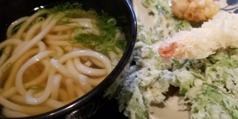 Sanuki Udon Oideya
