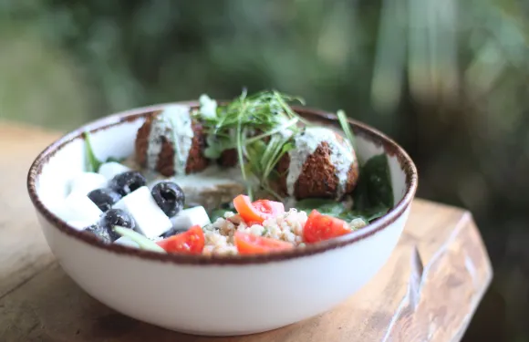 APURO Vegan Bar