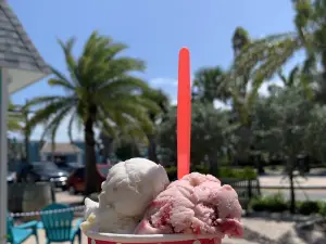 The Fat Donkey Ice Cream and Fine Desserts