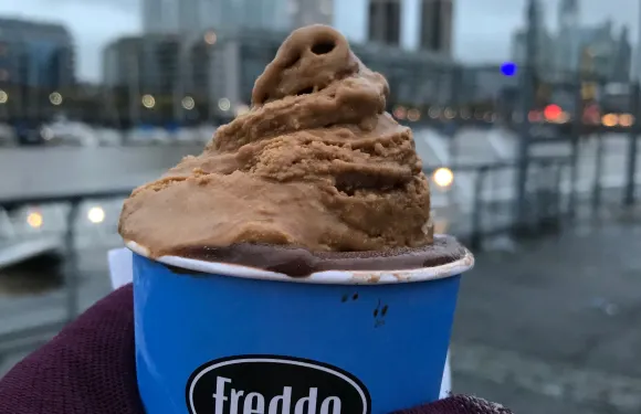 Freddo Puerto Viamonte