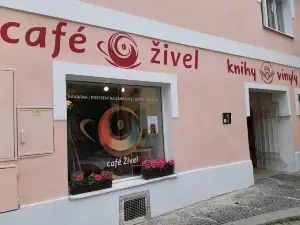 café Živel