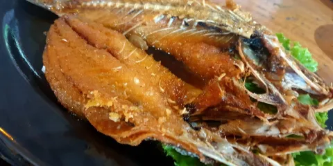 Ban Phuk Pouk