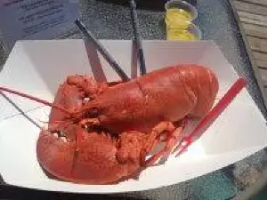 Morrison's Lobsters