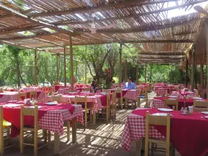 La Vaquita Echá