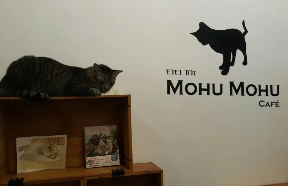 Mohu Mohu Cafe