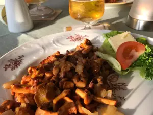 Konig Stuben