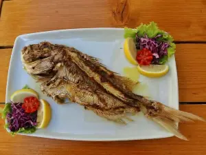 Konoba dalmatino