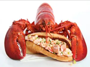 Midland Bistro