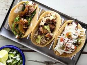 World Food Trucks