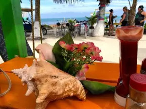 Bambooze