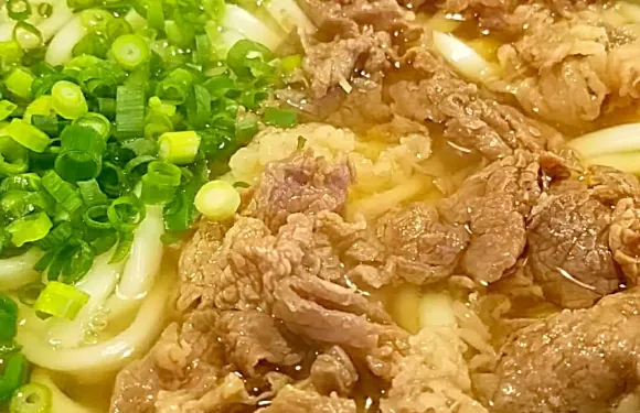 Matsubara Udon