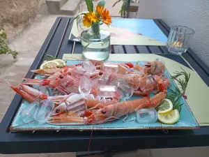 Malo misto wine & dine