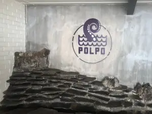 Polpo
