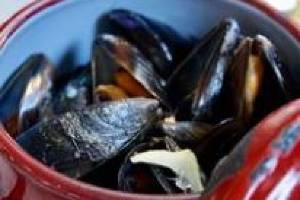 Popular dishes