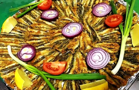 Oz Mercan Balikcilik