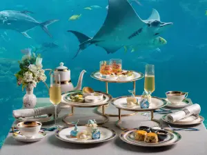 Aqua - Aquarium Restaurant