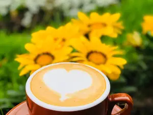Palacios Coffee
