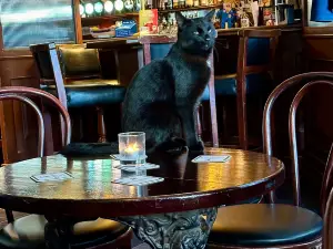 The Harbour Bar
