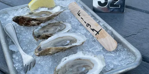 Westport Sea Farms