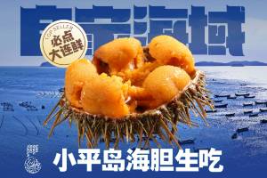 小平島黃金海膽生吃