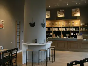 Gelateria La Romana - Alba
