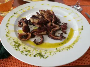 Pizzeria O Cocktail