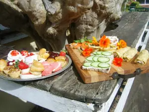 Zomerlust Boutique Hotel